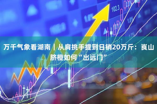 万千气象看湖南｜从肩挑手提到日销20万斤：崀山脐橙如何“出远门”