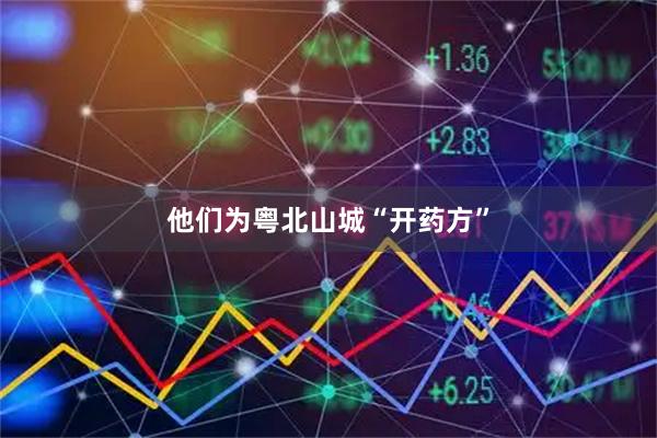 他们为粤北山城“开药方”