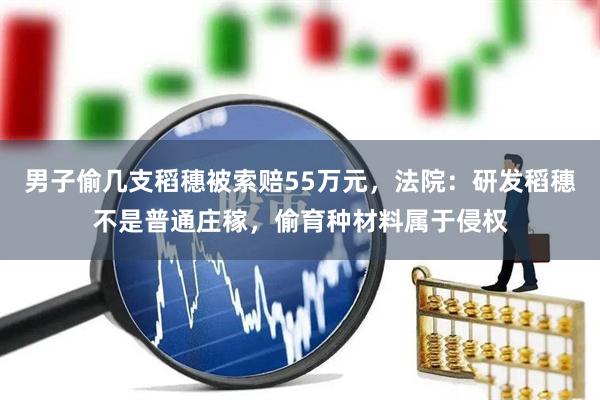 男子偷几支稻穗被索赔55万元，法院：研发稻穗不是普通庄稼，偷育种材料属于侵权